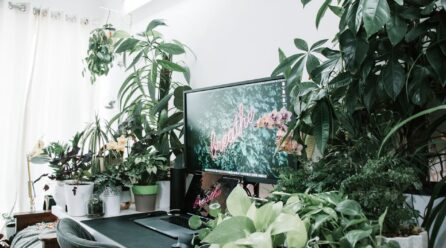 Acessórios que ajudam a melhorar o desempenho do cultivo em casa: Equipamentos Essenciais e Práticas para Potencializar Sua Produção