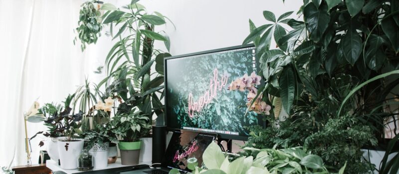 Acessórios que ajudam a melhorar o desempenho do cultivo em casa: Equipamentos Essenciais e Práticas para Potencializar Sua Produção