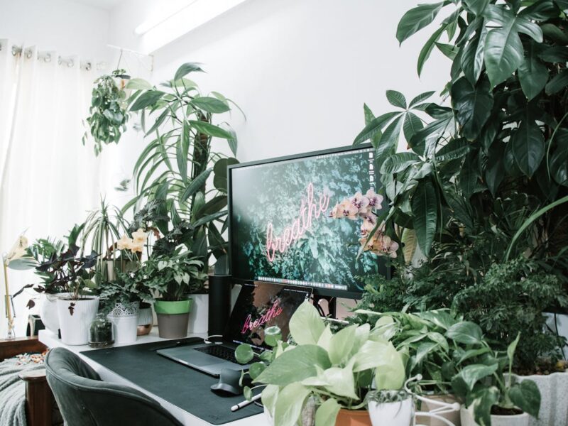 Acessórios que ajudam a melhorar o desempenho do cultivo em casa: Equipamentos Essenciais e Práticas para Potencializar Sua Produção